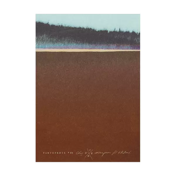 Michael Chang - Plakat Farveprøve #80, A2 - uden ramme
