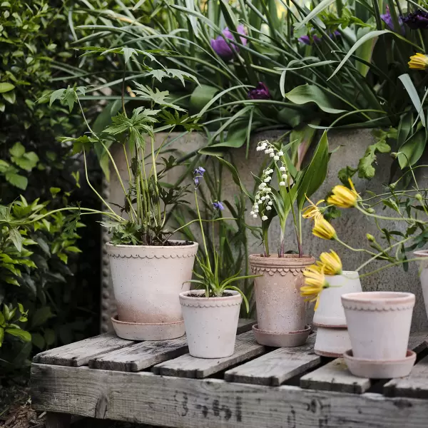 Bergs Potter - Københavnerpotten Rosa Raw Tall Ø:10