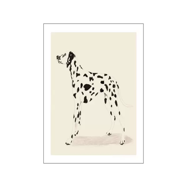 The Poster Club - Jenny Liz Rome, Dalmation 30*40