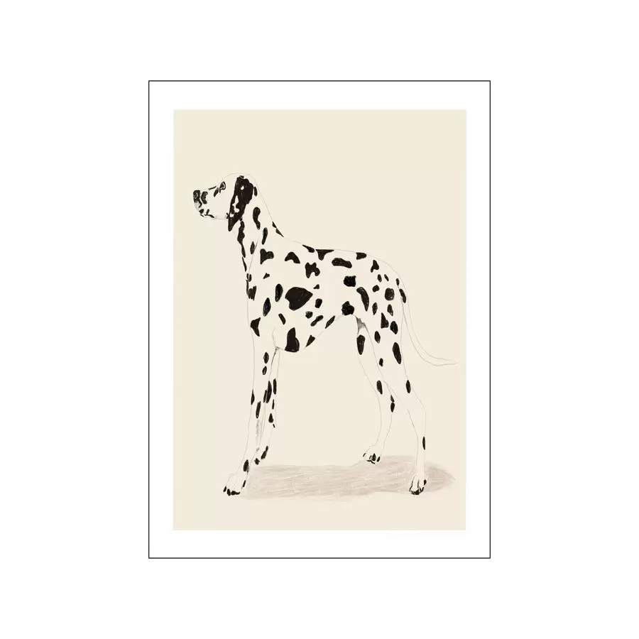 The Poster Club - Jenny Liz Rome, Dalmation 30*40